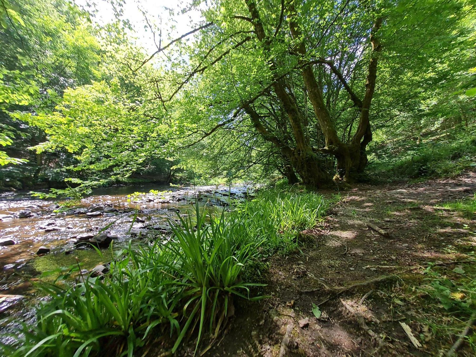 Ferienhaus Droefter Blick Monschau Eksteriør billede