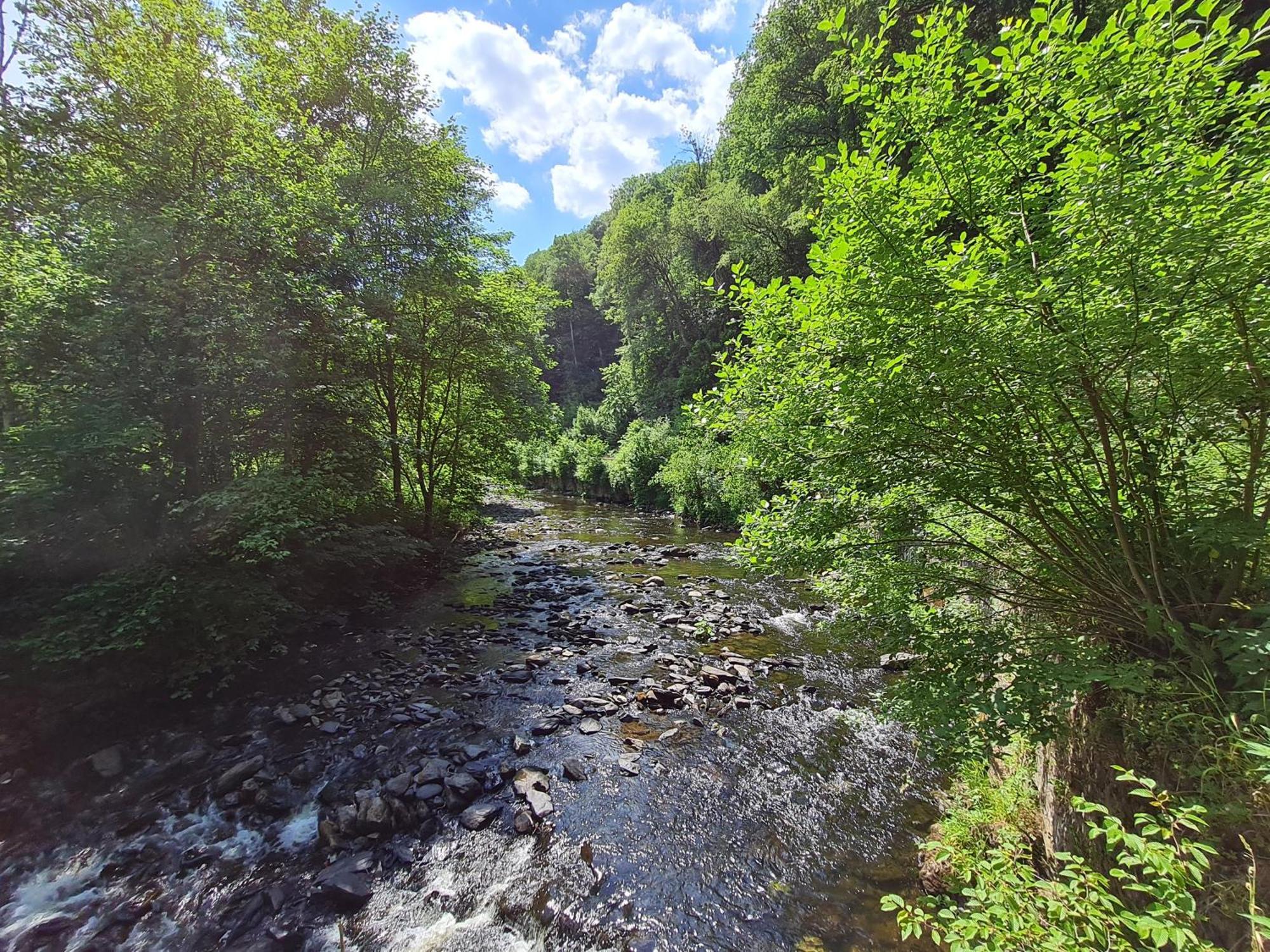 Ferienhaus Droefter Blick Monschau Eksteriør billede