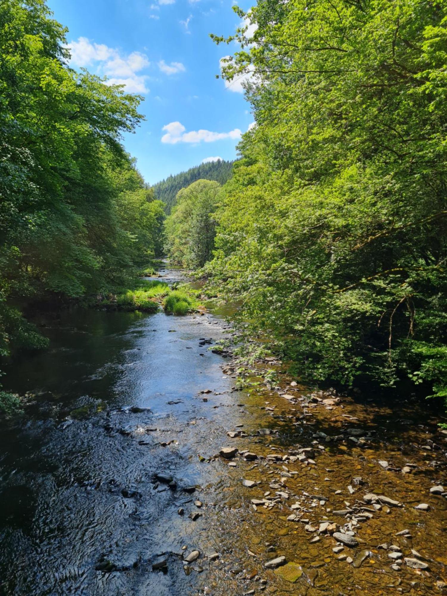 Ferienhaus Droefter Blick Monschau Eksteriør billede